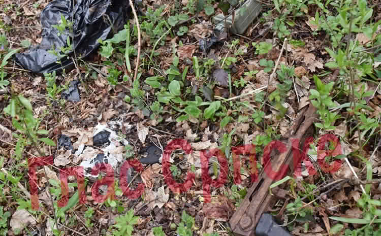 Djevojčice brale cvijeće pa naišle na bombe