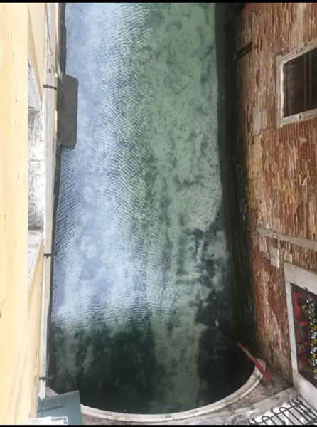 Voda u Veneciji nikad nije bila čistija: Prvi put vidimo ribice!