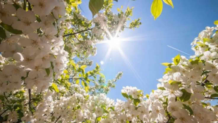 U Bosni i Hercegovini danas sunčano vrijeme