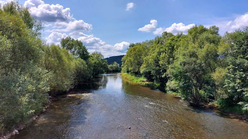 Druženje i ribolov članova SRD Vrbas