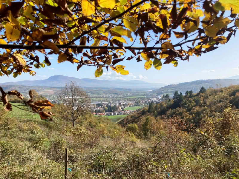 Jesen donosi novu energiju: Koji su to mali rituali koji nam mogu podići raspoloženje?