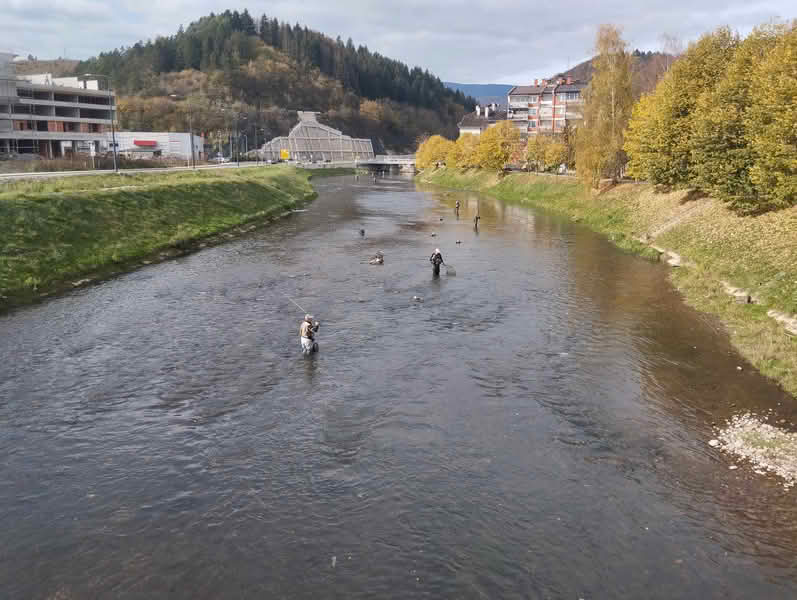 ” Ajvatovica 2025″ : OPEN KUP – FLAY FISHING