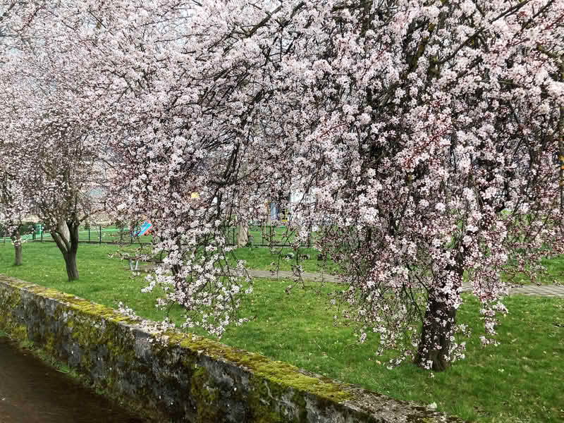 Ponovo oboren rekord: Ovogodišnji mart najtopliji ikad u Evropi