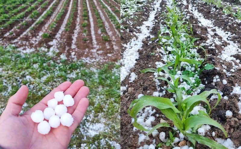 Padao led veličine oraha: Nevrijeme u Sloveniji kreće se prema Hrvatskoj, da li će stići i u BiH?