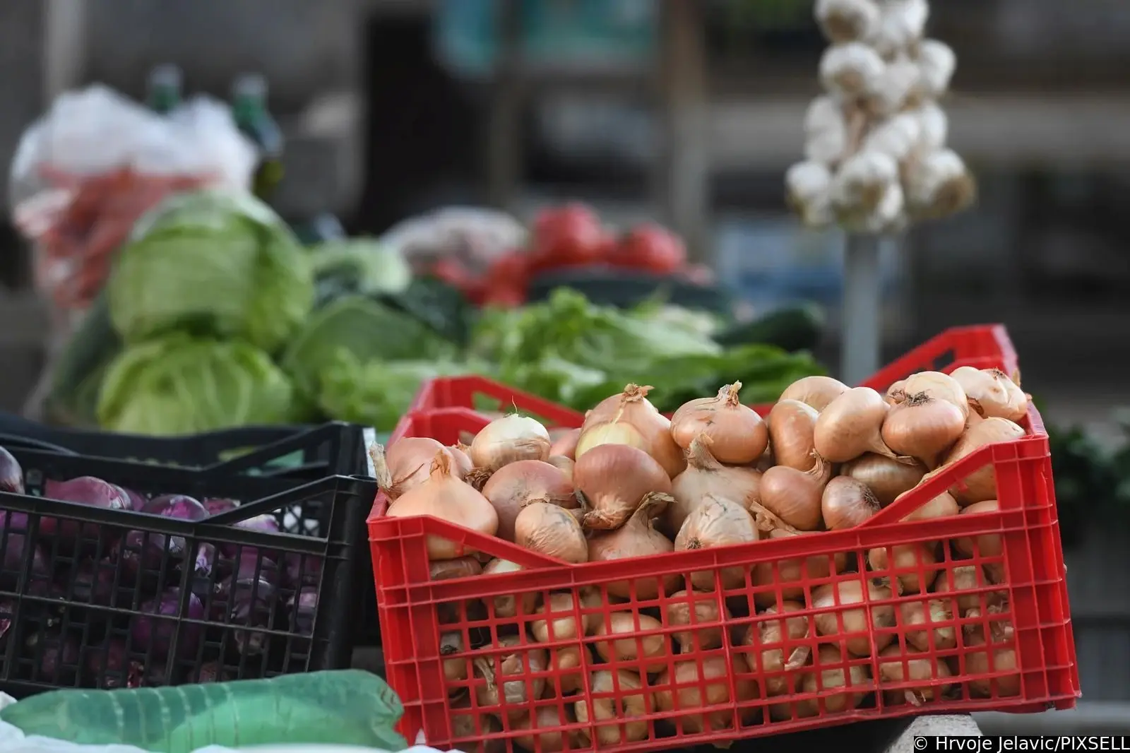 BiH ne proizvodi ni 20 posto hrane: Godišnje uvezemo stotine tona luka kojeg možemo sami proizvesti