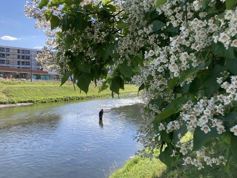 U BiH danas sunčano, temperatura do 39 stepeni