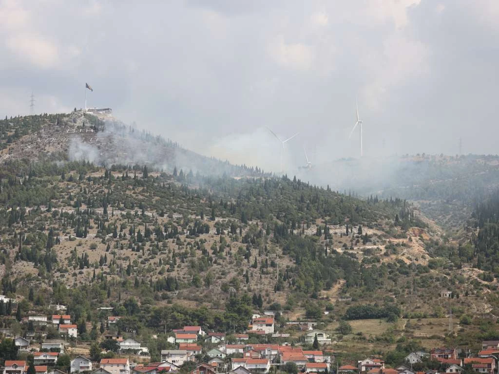 Akcija pošumljavanja požarom pogođenih površina u BiH